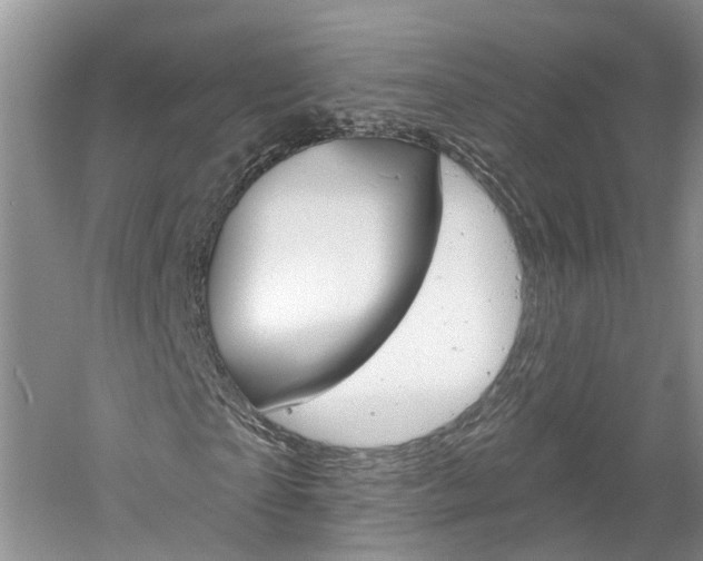 X0000061150865200511181030