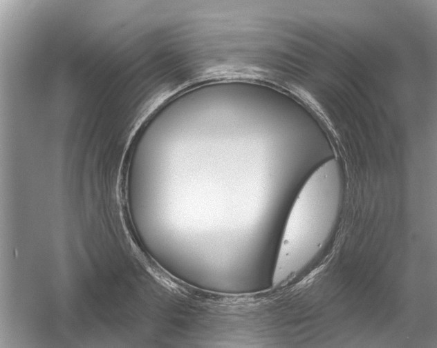 X0000061150893200511181030