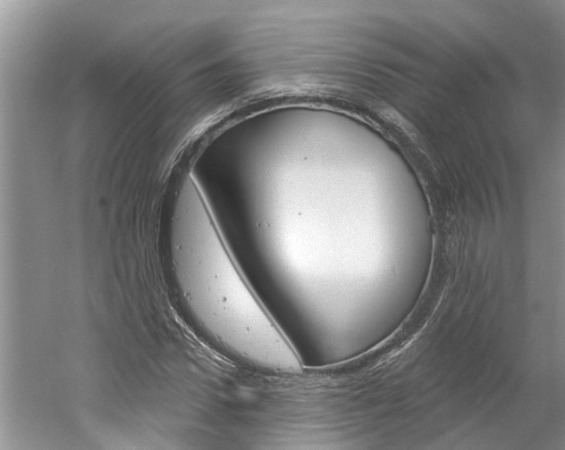X0000061150922200511181029
