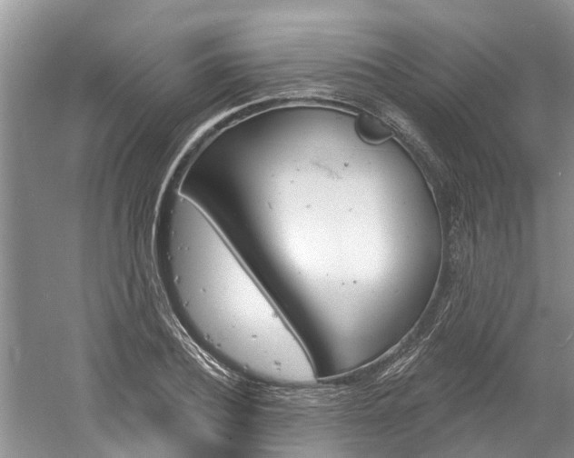 X0000061150932200511181029