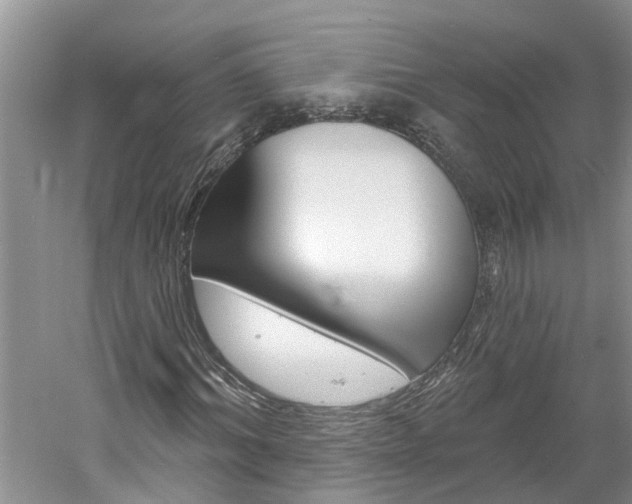 X0000061150964200511181028
