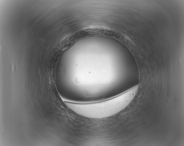 X0000061150965200511181028