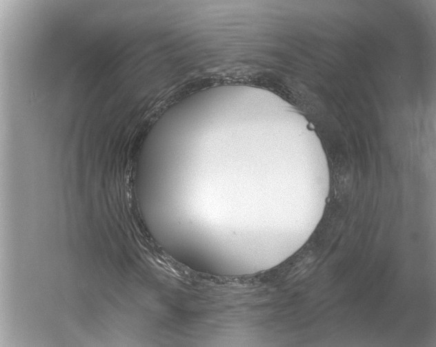 X0000061151010200511181027