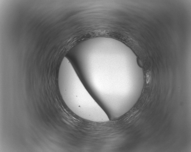 X0000061151011200511181027