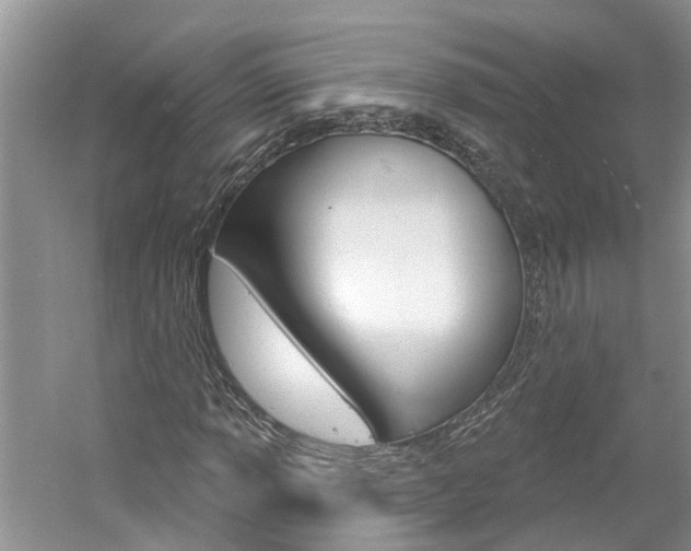 X0000061151013200511181027