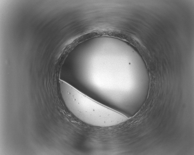 X0000061151016200511181027