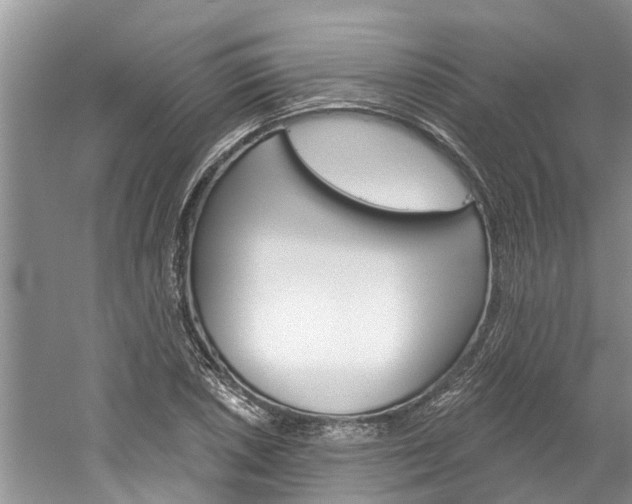 X0000061151026200511181027