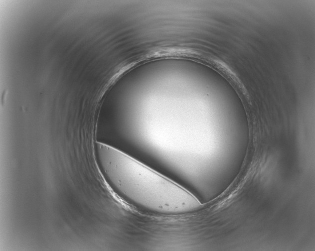 X0000061151041200511181027