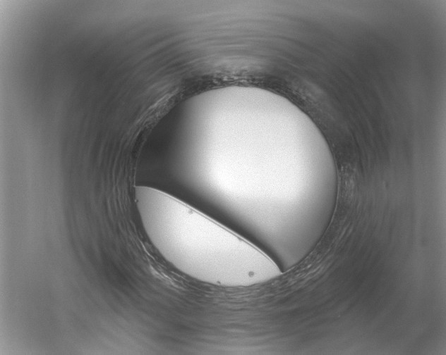 X0000061151060200511181027