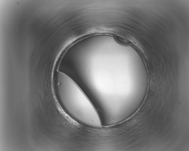X0000061151080200511181026
