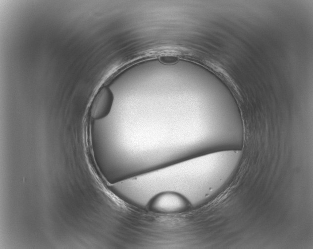 X0000061151083200511181026