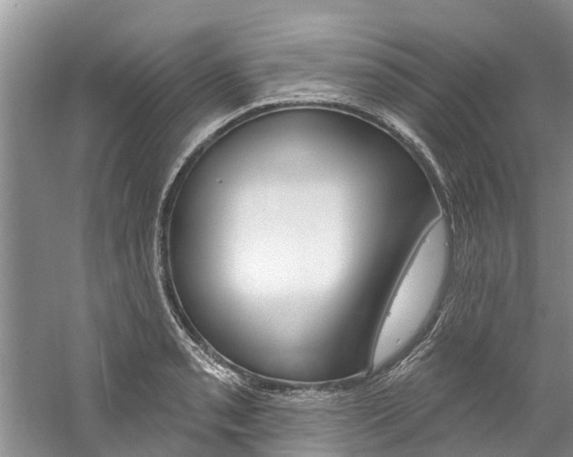 X0000061151085200511181026