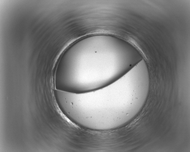 X0000061151092200511181026