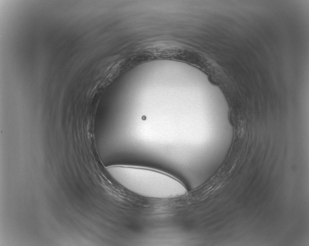 X0000061151108200511181025