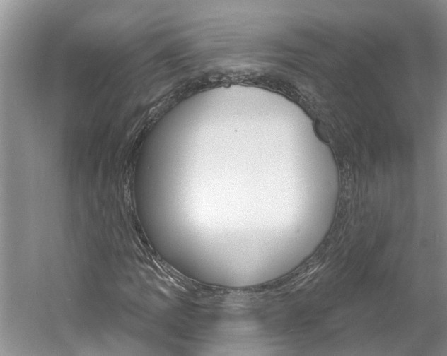 X0000061151109200511181025