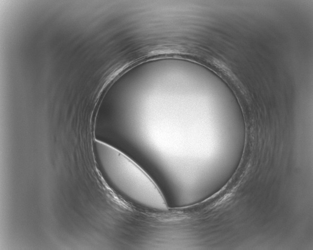 X0000061151129200511181026
