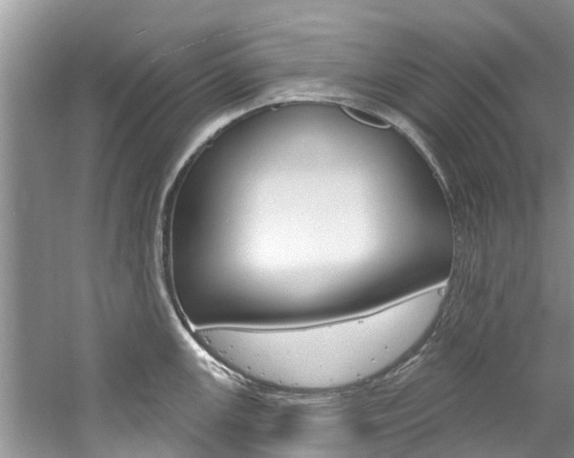 X0000061151147200511181026