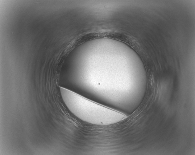 X0000061151204200511181024