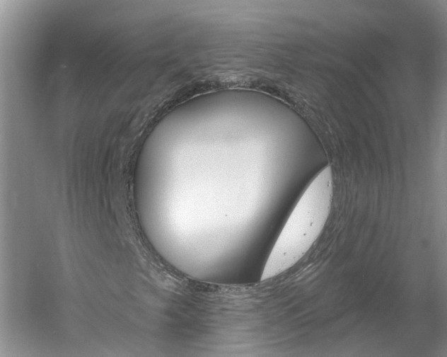 X0000061151249200511181024