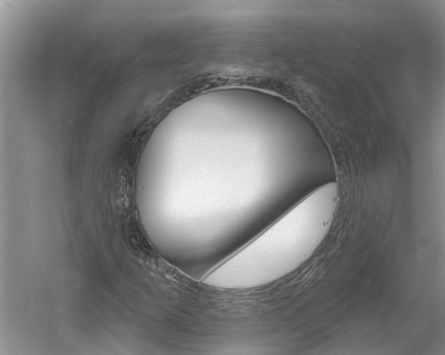 X0000061151253200511181024