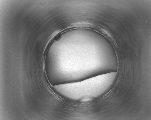 X0000061151275200511181023