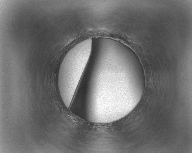 X0000061151301200511181022