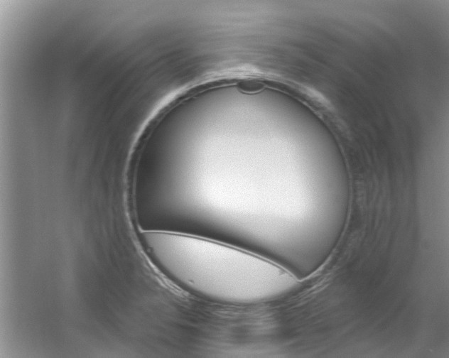 X0000061151326200511181022