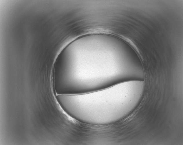 X0000061151387200511181021