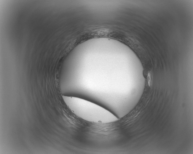 X0000061151395200511181020