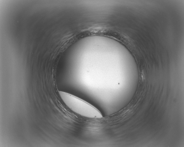 X0000061151396200511181020