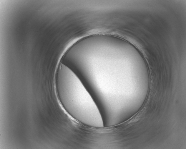 X0000061151440200511181021