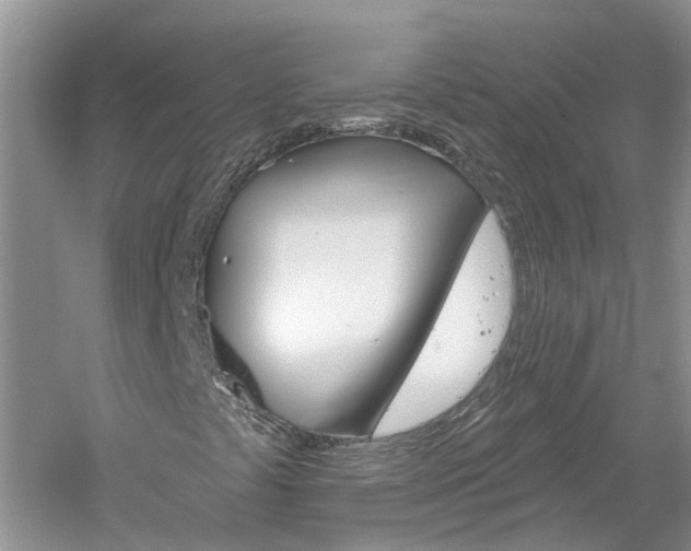 X0000061151441200511181020