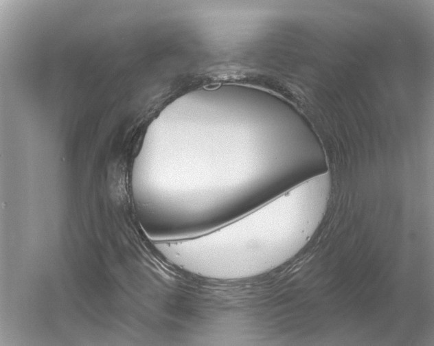 X0000061151444200511181020