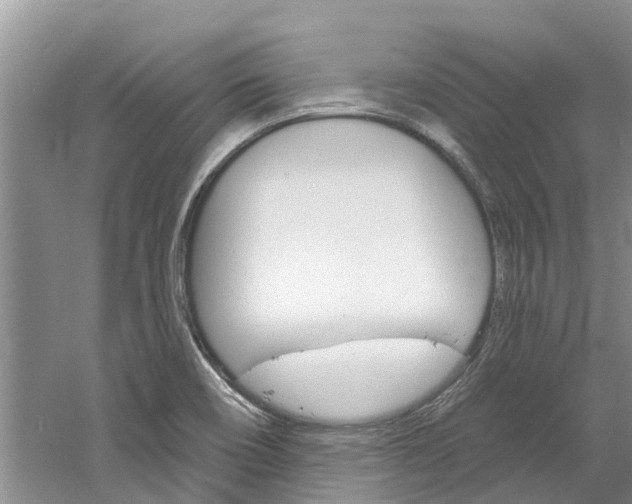 X0000061151466200511181020