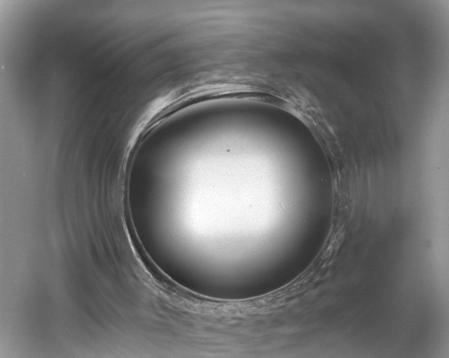 X0000061150003200511181246