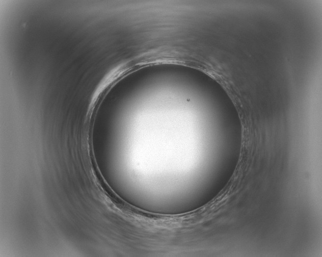 X0000061150004200511181246