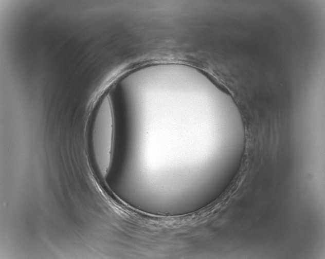 X0000061150005200511181246