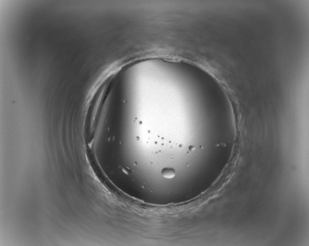 X0000061150007200511181246