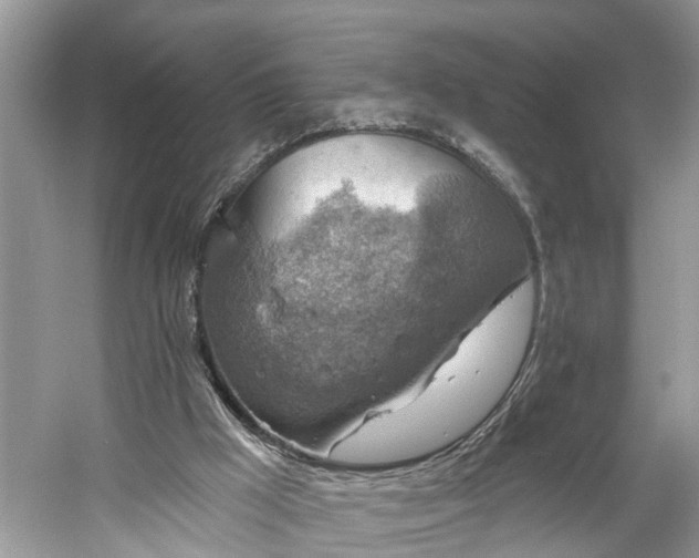 X0000061150009200511181246