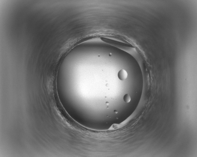 X0000061150010200511181246