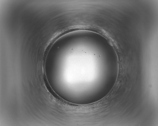 X0000061150011200511181246