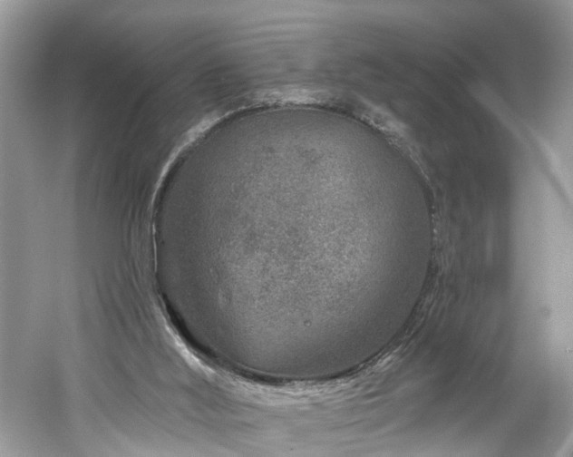 X0000061150012200511181246