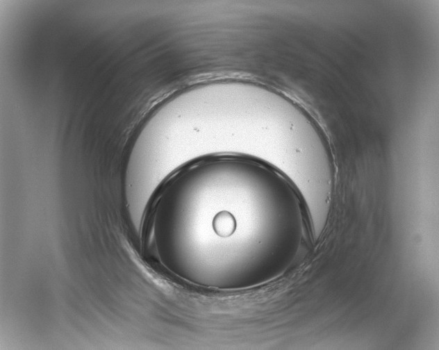 X0000061150013200511181246