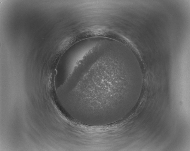 X0000061150018200511181246