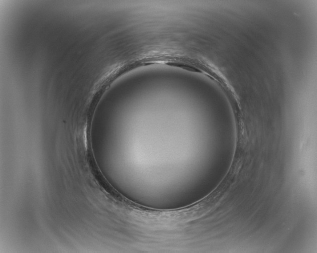 X0000061150019200511181246