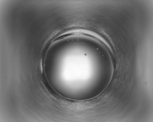 X0000061150020200511181246