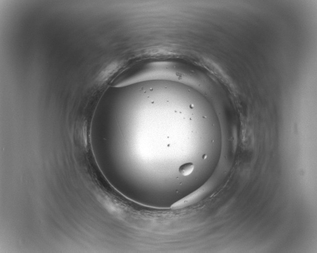 X0000061150021200511181246