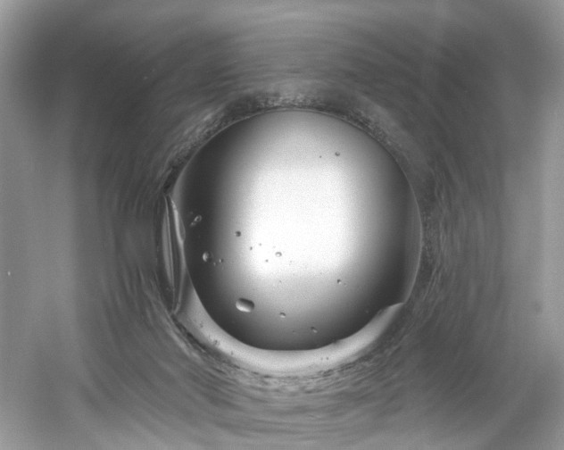 X0000061150022200511181246