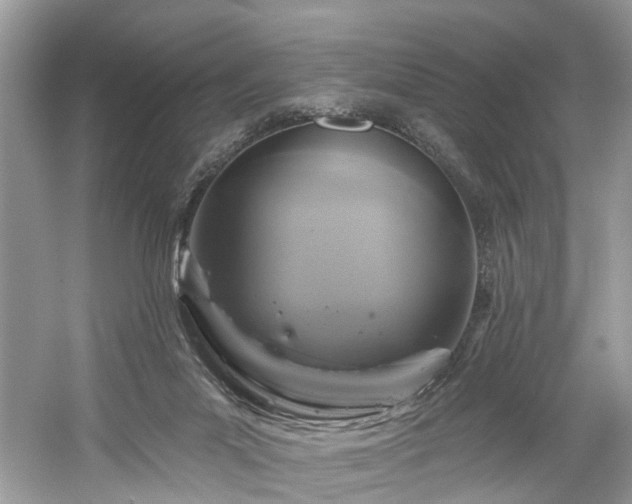 X0000061150023200511181246