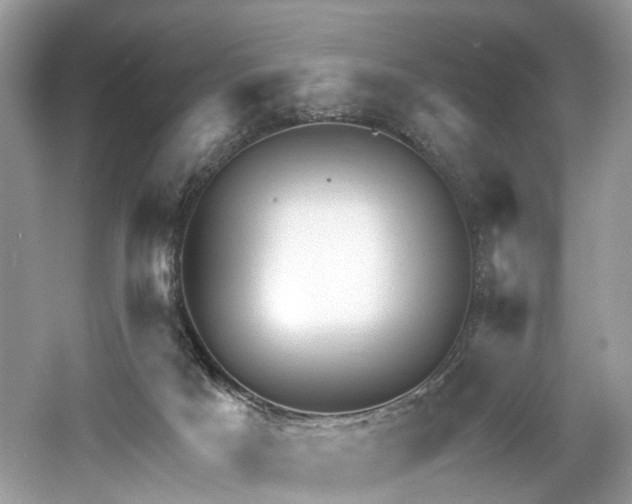 X0000061150025200511181246